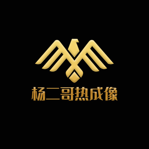 杨二哥热成像logo设计