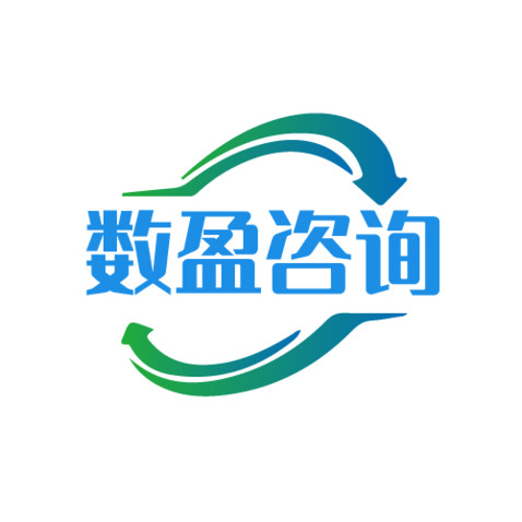 数盈咨询logo设计