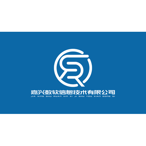 嘉興數(shù)軟信息技術(shù)有限公司logo設(shè)計(jì)