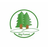 Big Forest