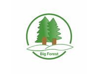 Big Forest