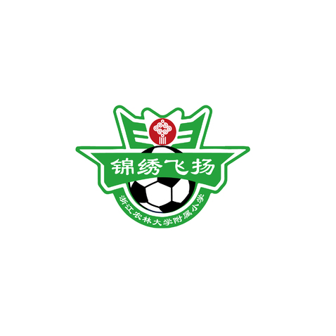 足球队logo设计