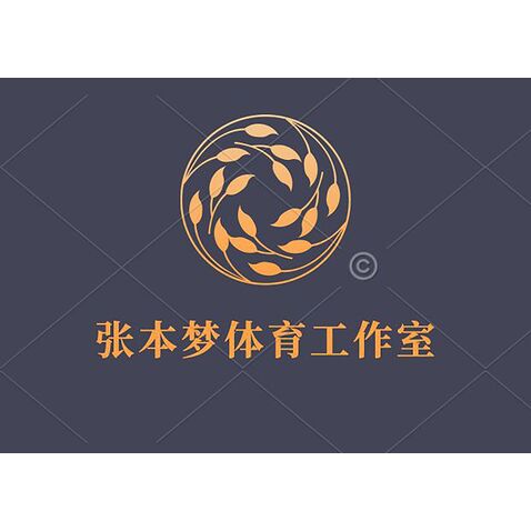 张本梦体育工作室logo设计