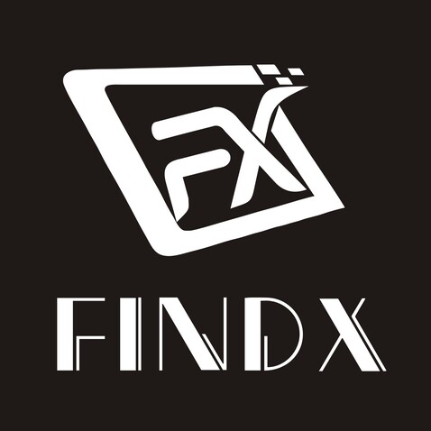 FINDXlogo设计