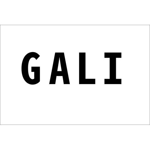 GALIlogo设计