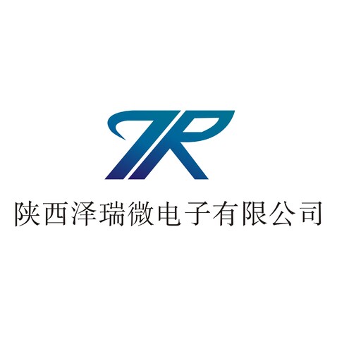 陕西泽瑞微电子有限公司logo设计