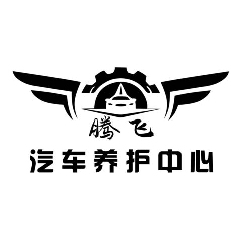 腾飞汽车养护中心logo设计