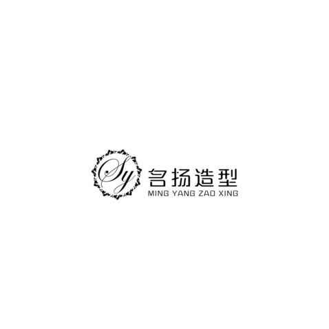 名扬造型logo设计