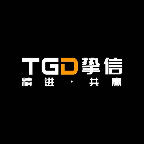 TGD挚信logo设计