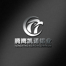 浙江騰鷹凱諾鋁業有限公司1