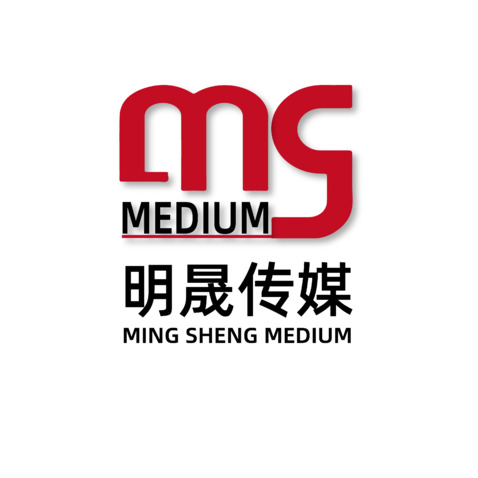 明晟传媒  传媒行业 突出ms logo设计