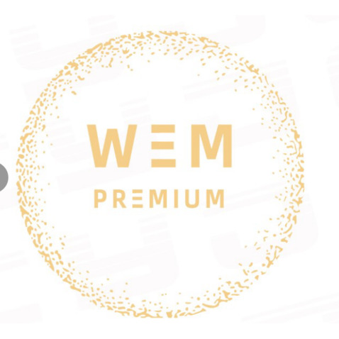 WEM PREMIUMlogo设计