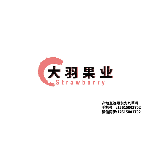 大羽果业logo设计