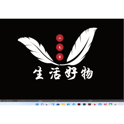 二毛家生活好物logo设计