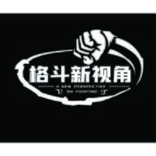 格斗新視角