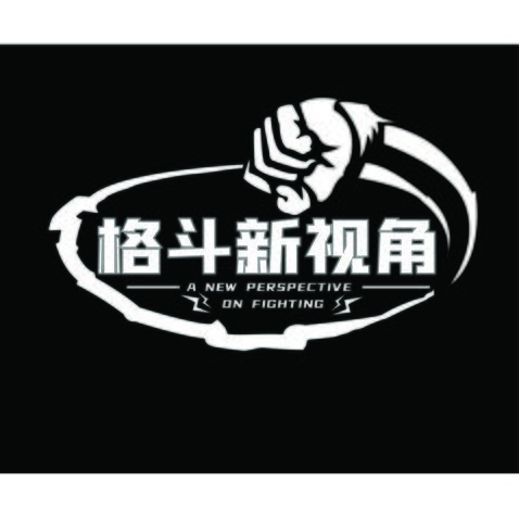 格斗新视角logo设计