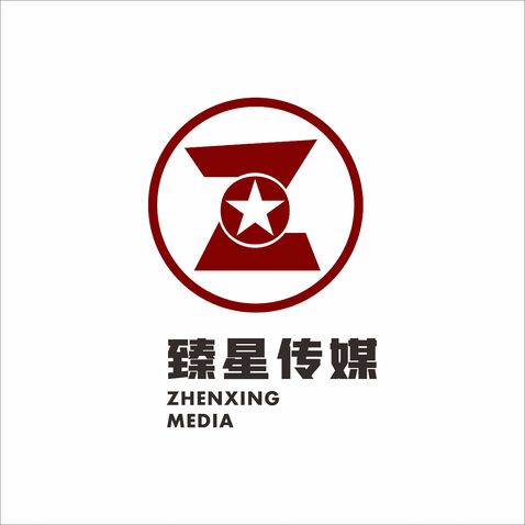 臻星传媒logo设计