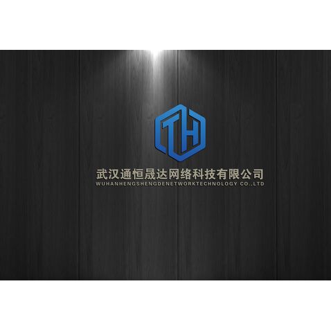 武汉通恒晟达logo设计