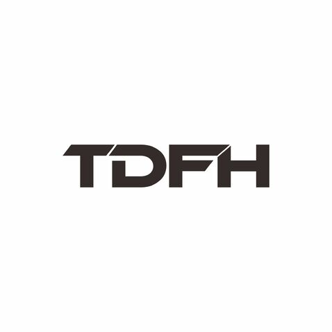 TDFH1logo设计