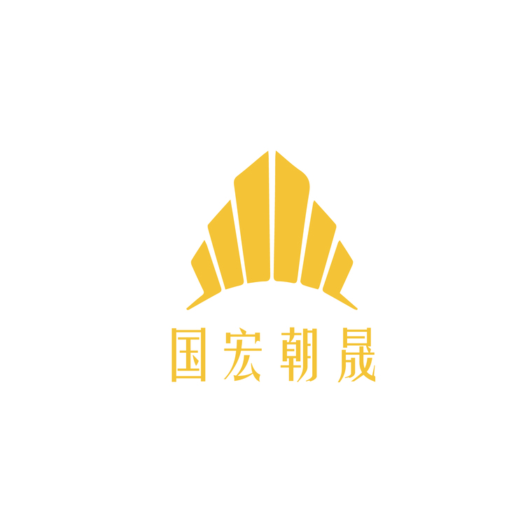 国宏朝晟logo