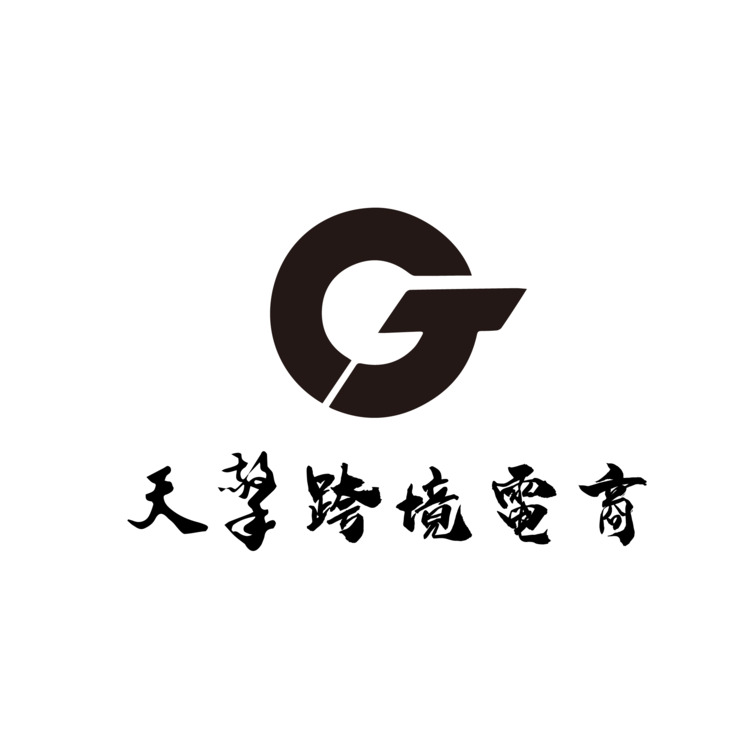 天擎跨境電商logo