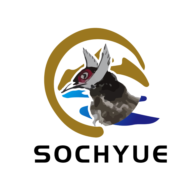 Sochyuelogo