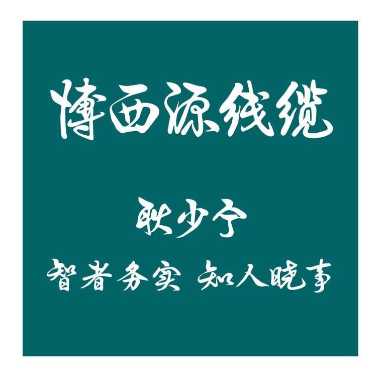 博西源线缆logo