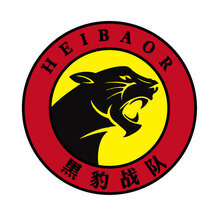 黑豹戰(zhàn)隊(duì)