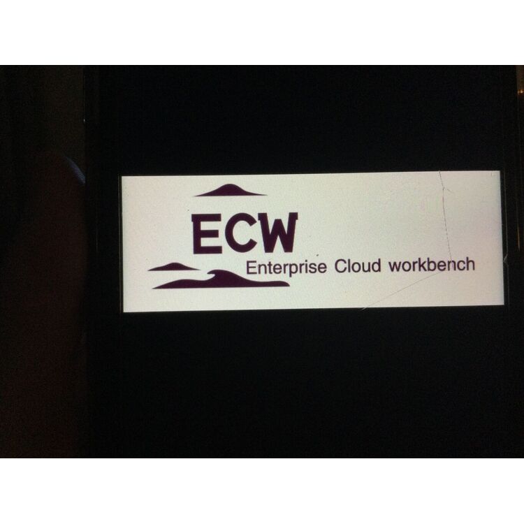 ECWlogo