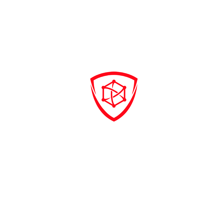 高科技的安保设备安装公司logo