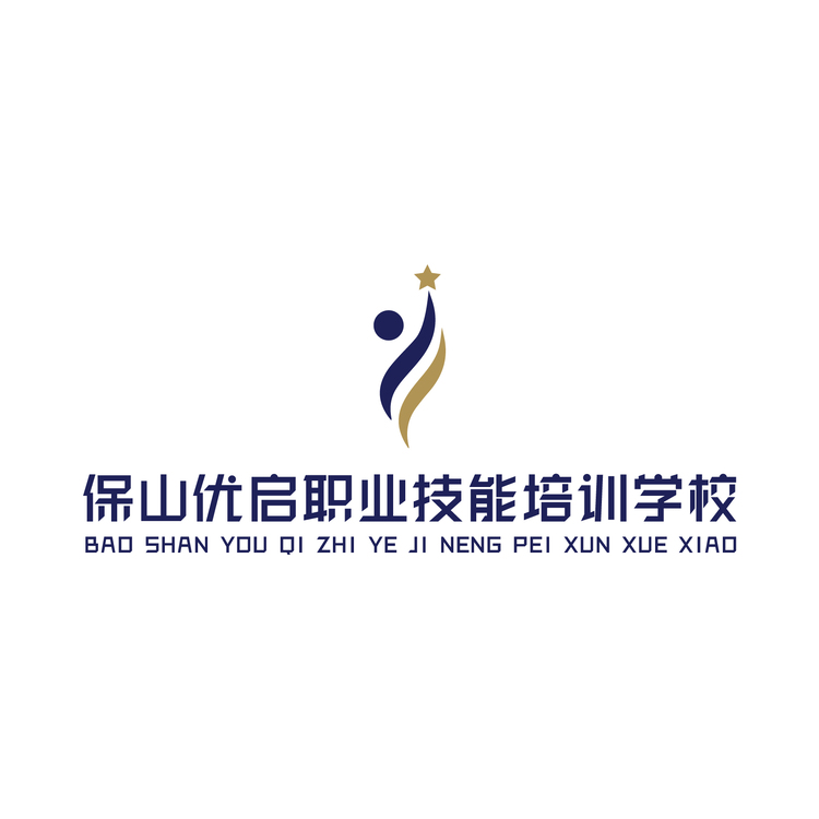 保山优启logo