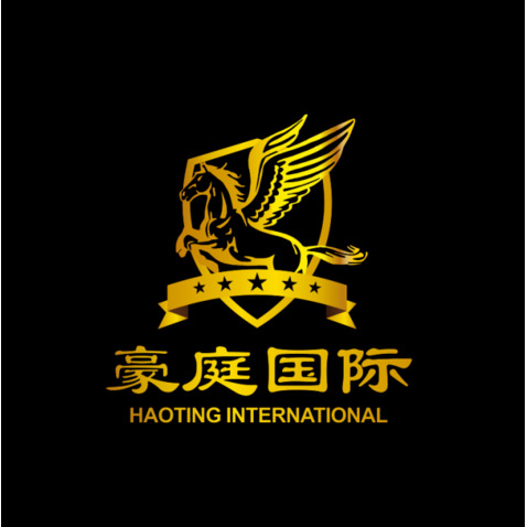 豪庭国际logo设计