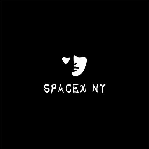 SPACEX  NYlogo设计