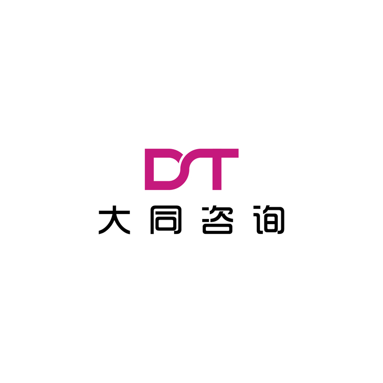 大同咨询logo