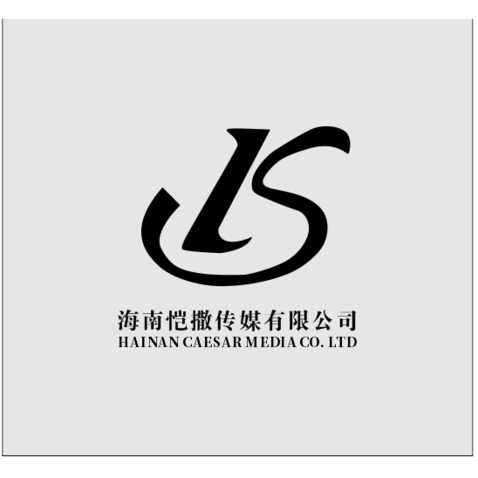 海南恺撒传媒有限公司logo设计