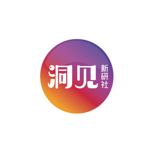 洞见logo设计