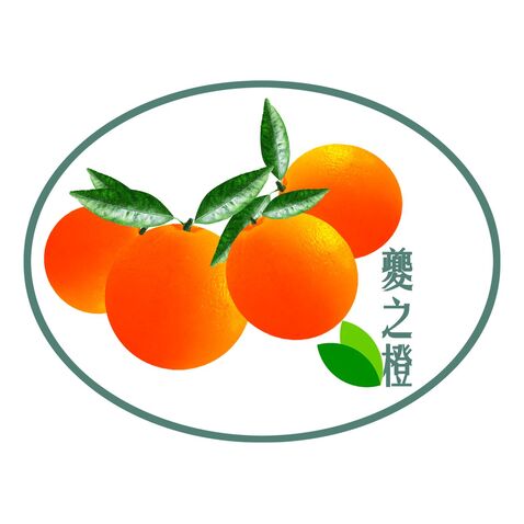 橙子logo设计