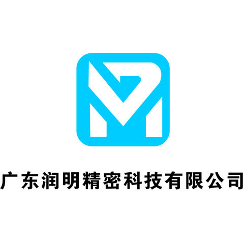 广东润明精密科技有限公司logo设计