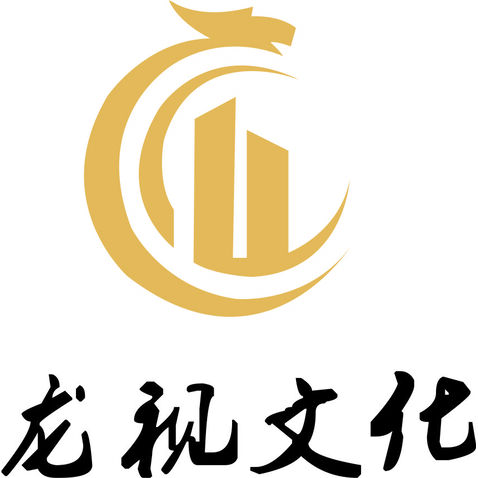 龙视文化logo设计