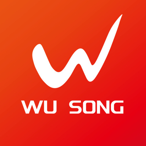 WU SONGlogo设计