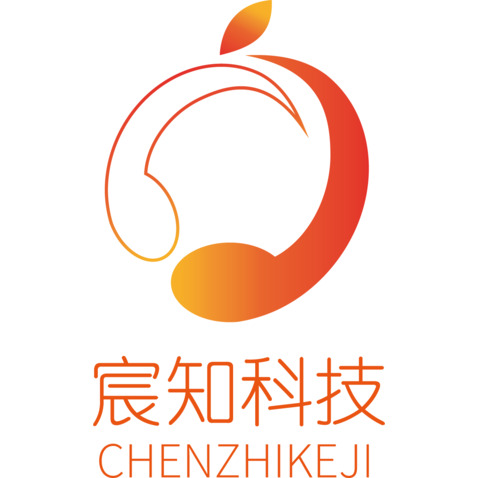 宸知科技LOGOlogo设计