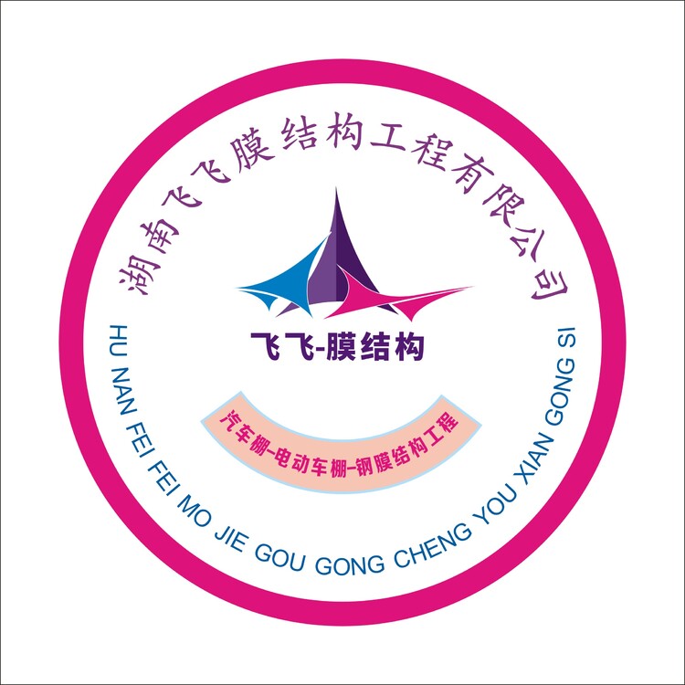 飞飞结构膜汽车钢模logo