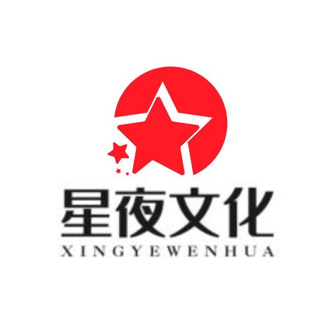 星夜文化logo设计