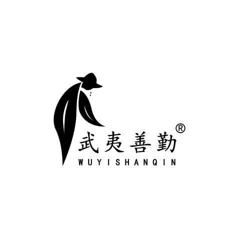 武夷善勤logo设计