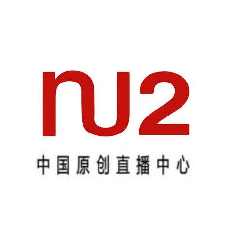 nu2logo设计