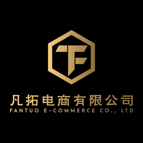 凡拓电商有限公司logo设计