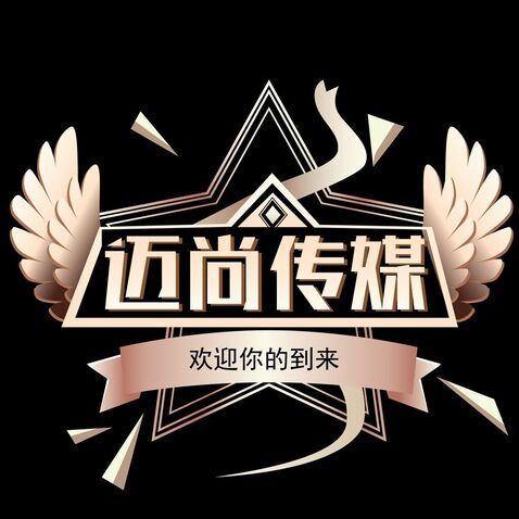 迈尚传媒logo设计