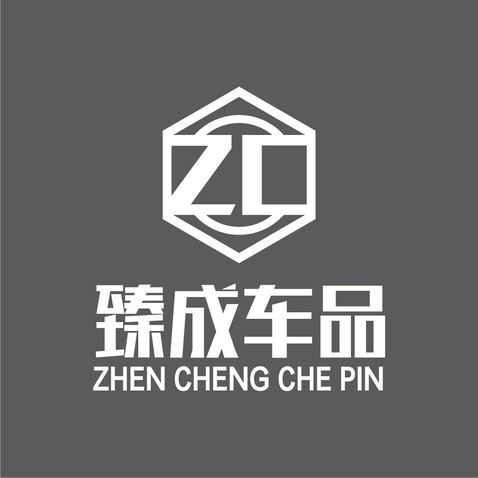 臻成车品logo设计