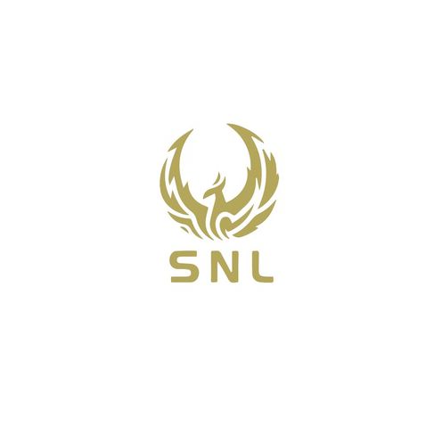 SNLlogo设计