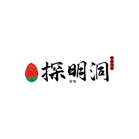 探明洞logo设计